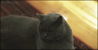 Daily GIFs Mix, part 718