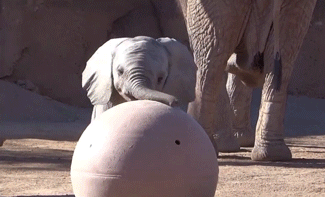 Daily GIFs Mix, part 719