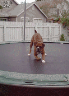 Daily GIFs Mix, part 719