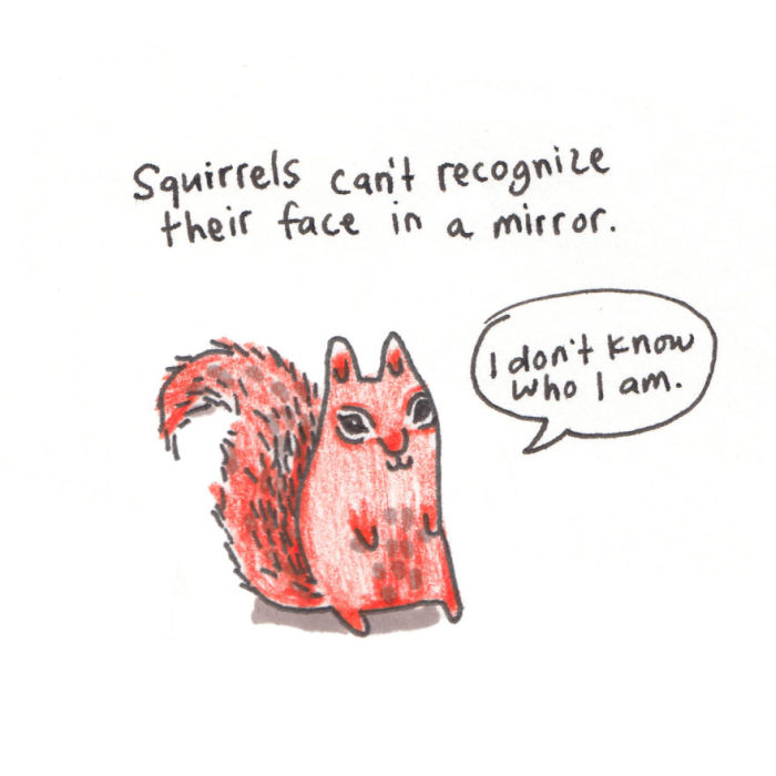Sad Animal Facts Are Actually Kind Of Adorable