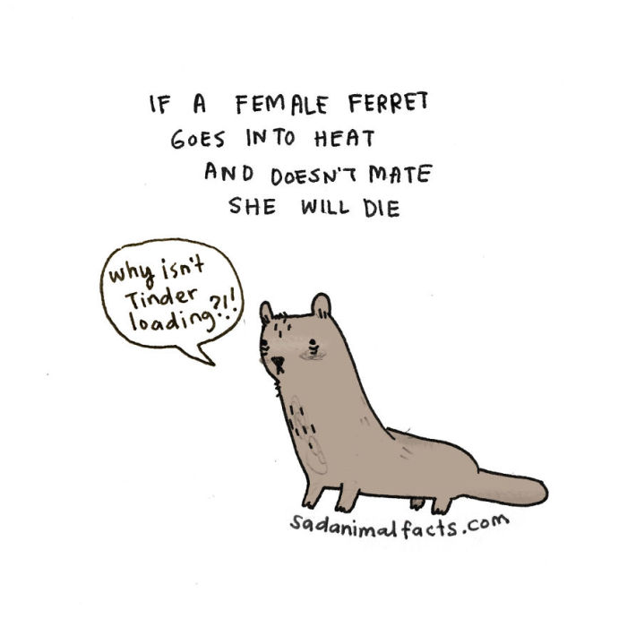 Sad Animal Facts Are Actually Kind Of Adorable