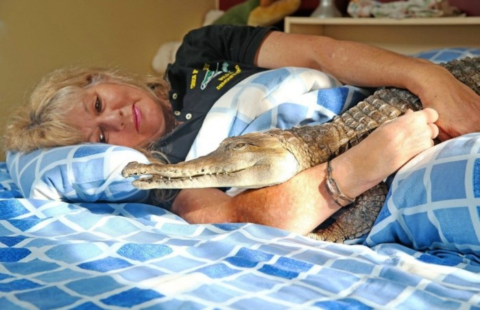 Meet The Woman Who Keeps A Crocodile As A Pet