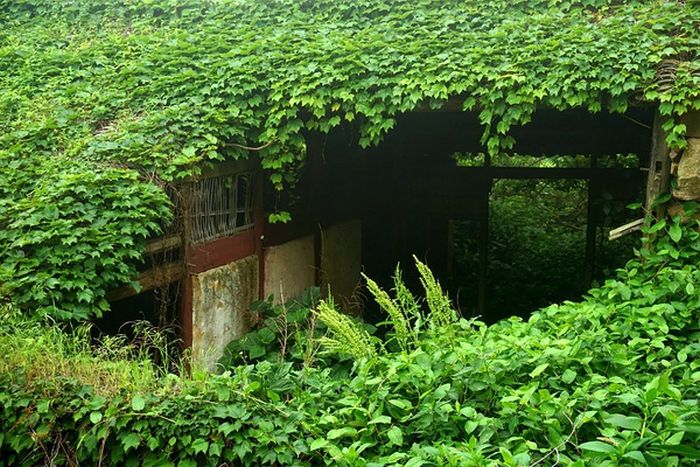 This Abandoned Chinese Fishing Village Has Been Reclaimed By Nature