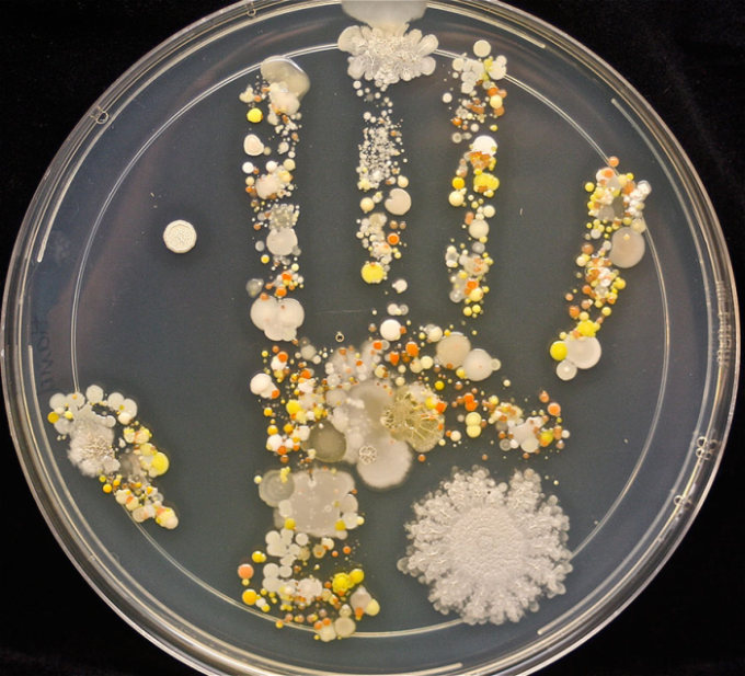 See What Was On This 8 Year Old Boy’s Handprint After Playing Outside