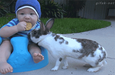 Daily GIFs Mix, part 723
