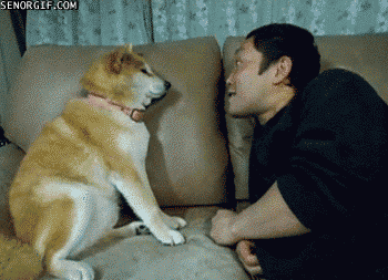 Daily GIFs Mix, part 724