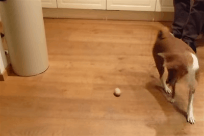 Daily GIFs Mix, part 724