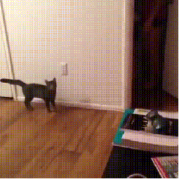 Daily GIFs Mix, part 728