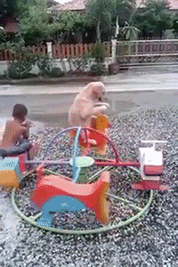 Daily GIFs Mix, part 729