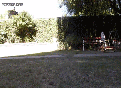 Daily GIFs Mix, part 730