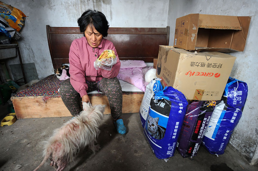 Chinese woman pays $1100 to save 100 dogs from chinese Dog-eating festival