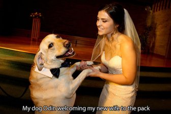 Pictures That Only Dog Lovers Will Truly Appreciate