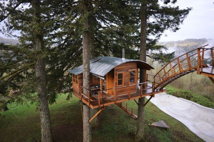 Designer Makes His Dream Come True By Building The Ultimate Tree House