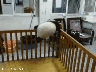 Daily GIFs Mix, part 733