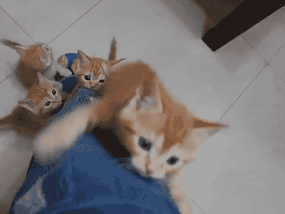 Daily GIFs Mix, part 733