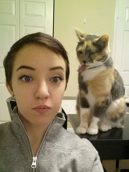Animals That Clearly Don't Want To Be A Part Of Your Selfie