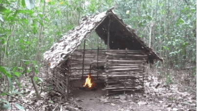 These GIFs Are Your Guide To Building A Shelter In The Wilderness