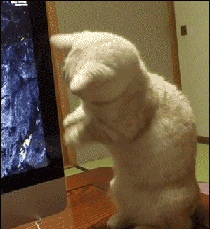 Daily GIFs Mix, part 737