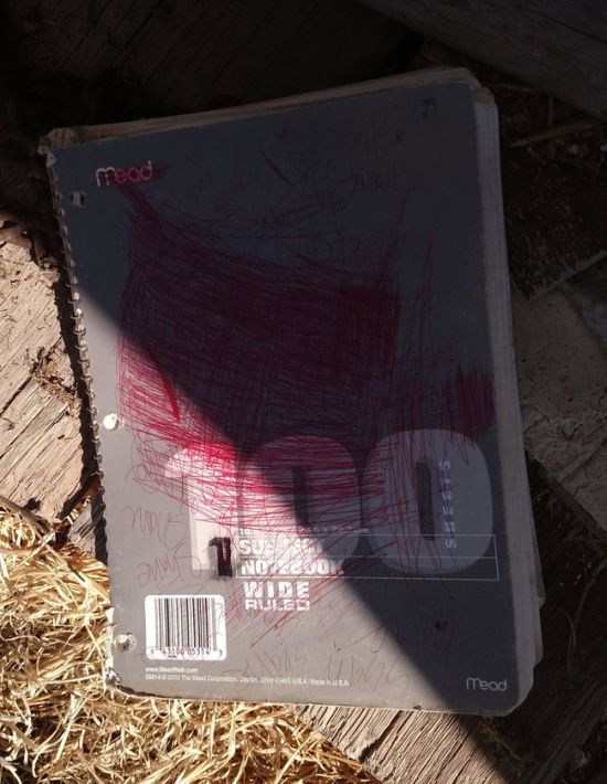Guy Uncovers Book Full Of Bizarre Messages While Cleaning His Parent's House