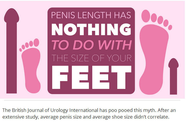 12 Things Every Person Needs To Know About Penises