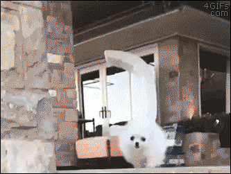 Daily GIFs Mix, part 740