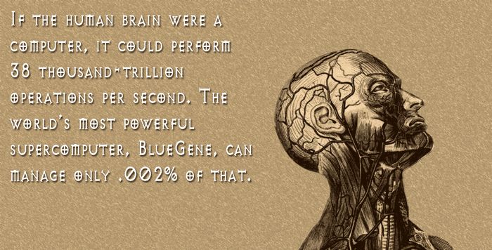 Your Mind Will Be Blown After Learning These Fascinating Facts