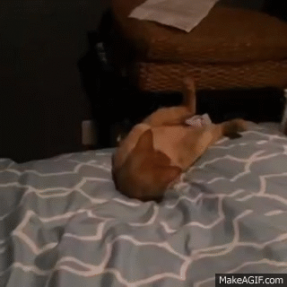 Daily GIFs Mix, part 743