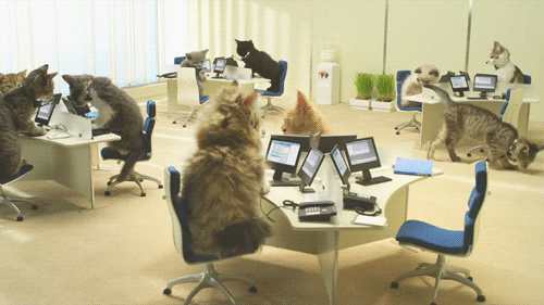Daily GIFs Mix, part 744
