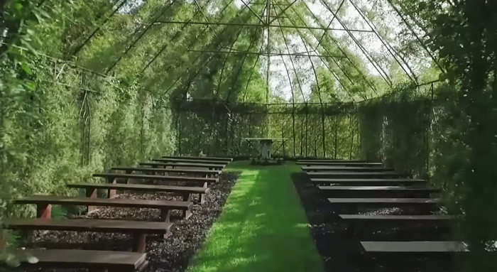 Man Spends 4 Years Growing A Live Tree Church In New Zealand