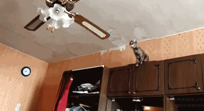 Daily GIFs Mix, part 746