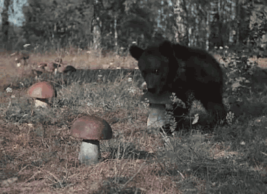 Daily GIFs Mix, part 747
