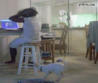 Daily GIFs Mix, part 749