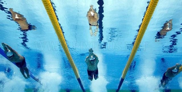Action Shots From the 2011 FINA Swimming World Championships