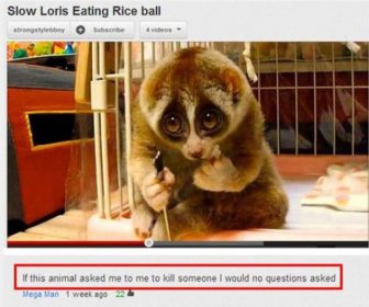Witty YouTube Comments That Will Crack You Up