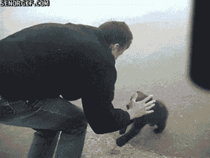 Daily GIFs Mix, part 752