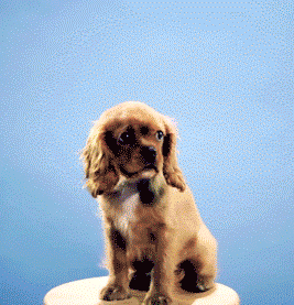 Daily GIFs Mix, part 755