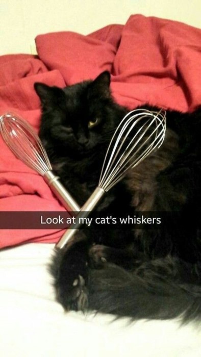 24 Pictures That Prove Snapchat Is The Best Place For Puns