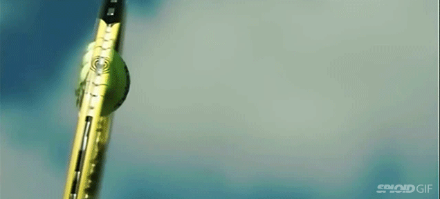 Slow Motion GIFS That Will Amaze And Hypnotize You