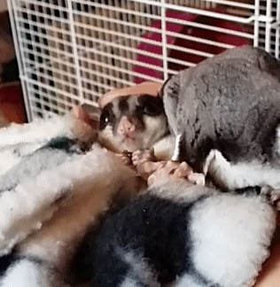 Daily GIFs Mix, part 757