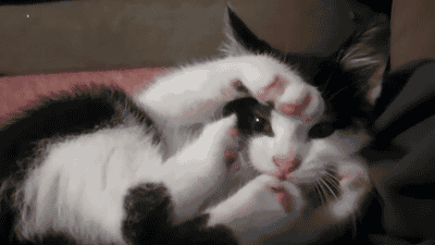 Daily GIFs Mix, part 758