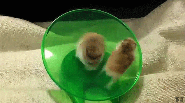 Daily GIFs Mix, part 758