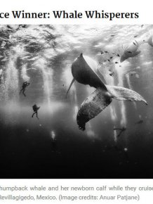 See The Winners Of The 2015 National Geographic Traveler Photo Contest