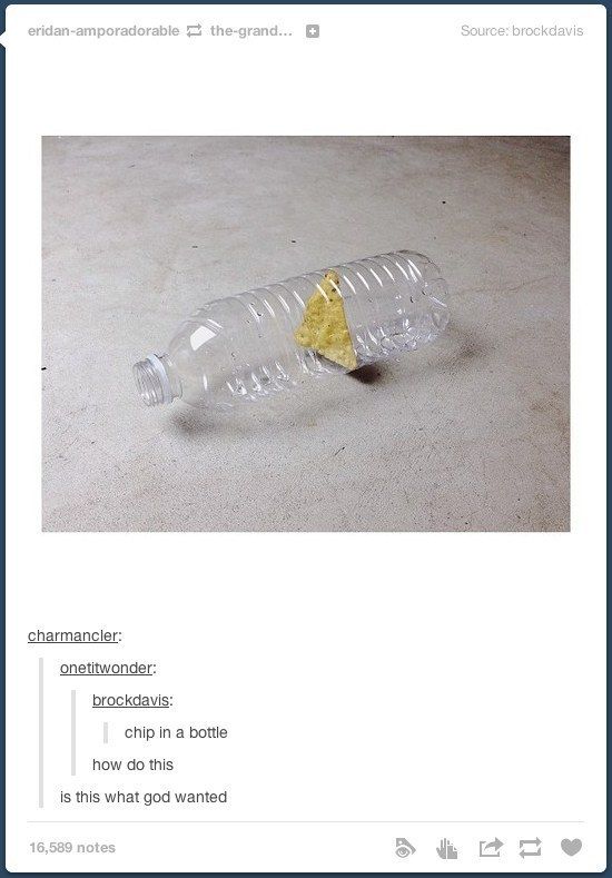 The Funniest Things That Have Ever Happened On Tumblr