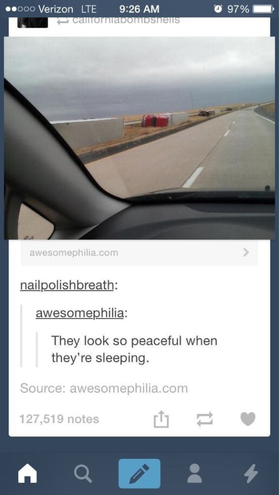 The Funniest Things That Have Ever Happened On Tumblr