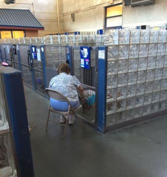 Kindhearted Woman Hangs Out At The Shelter And Reads Books To Lonely Dogs