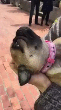 Daily GIFs Mix, part 761