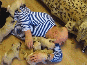 Daily GIFs Mix, part 761