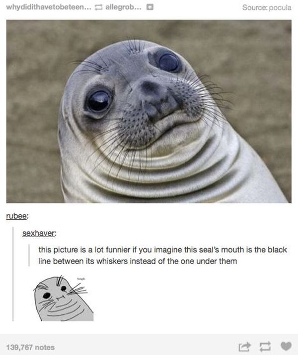 Tumblr Comments That Dramatically Improved The Original Photo