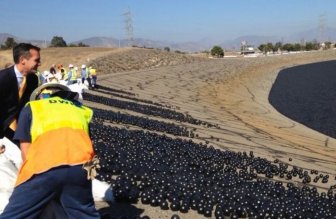 California Is Using Shade Balls To Conserve Their Water Supply