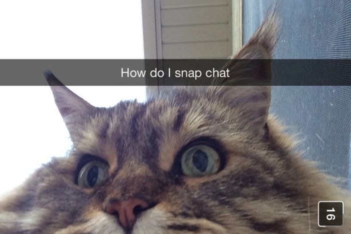 Clever People Who Know How To Make Snapchat Hilarious